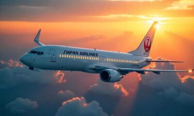 Japan Airlines Boeing 737 8 Aircraft