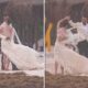 Justin Theroux Nicole Brydon Bloom Wedding Beach