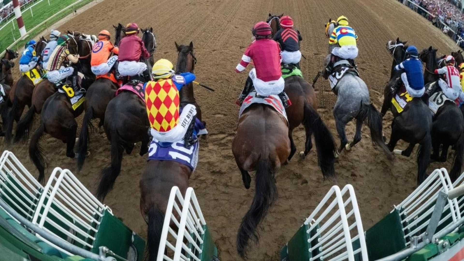 Kentucky Derby 2025 Horses Odds Preview