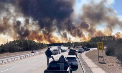 Long Island Wildfires Backyard S'mores Fire