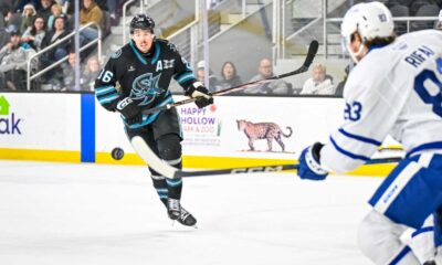 Lucas Carlsson Nhl Call Up San Jose Sharks