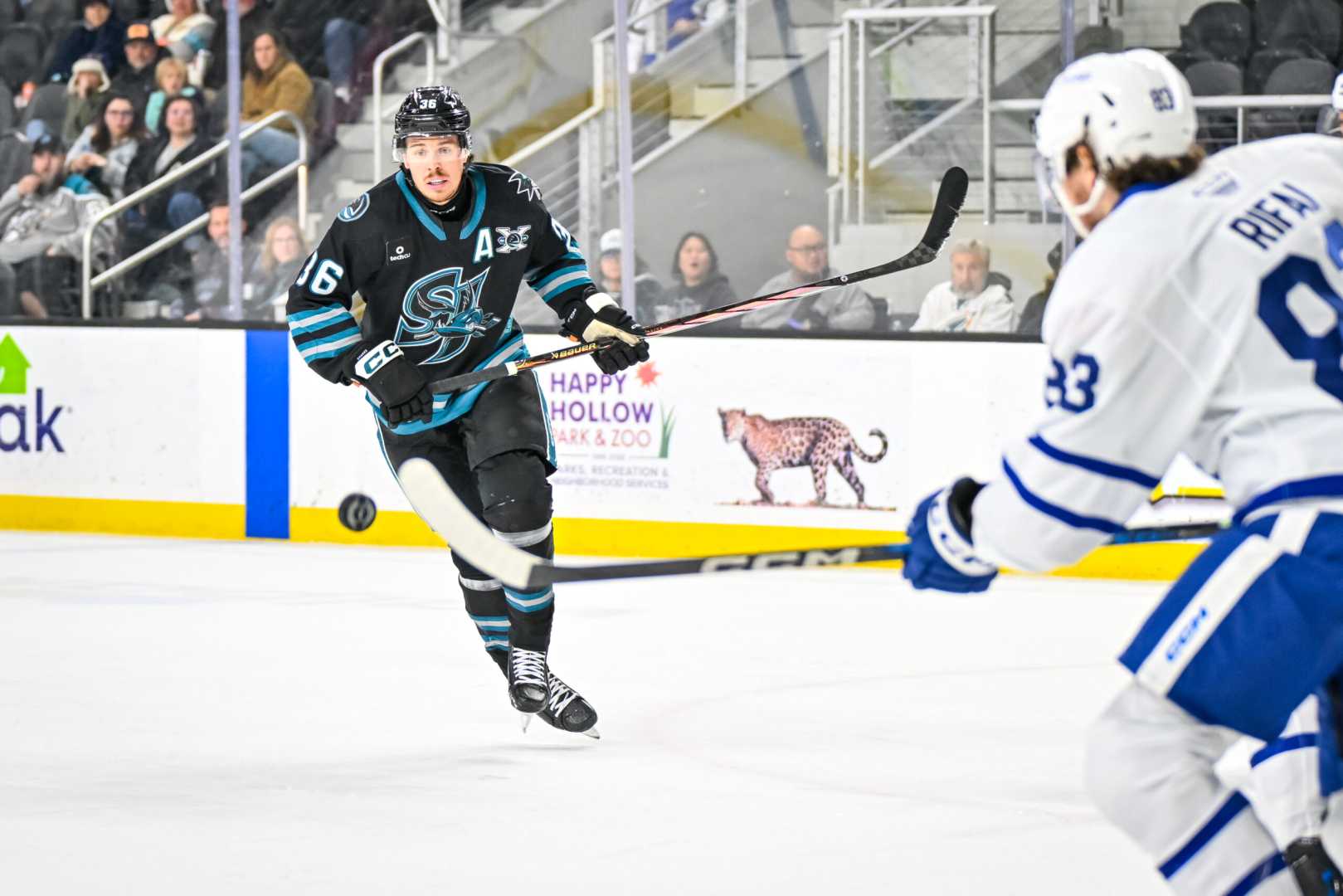 Lucas Carlsson Nhl Call Up San Jose Sharks