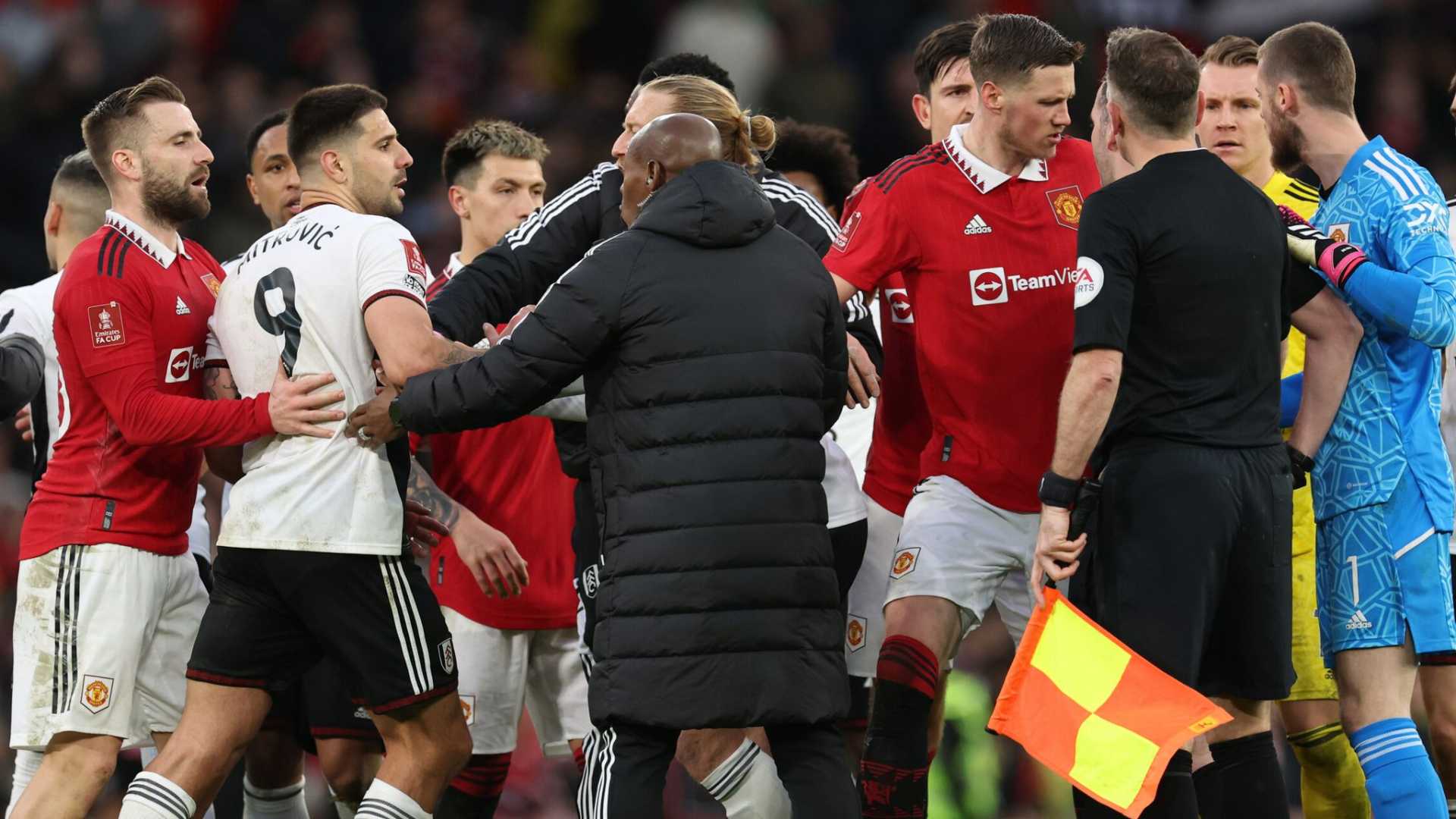 Manchester United Fa Cup Match Against Fulham