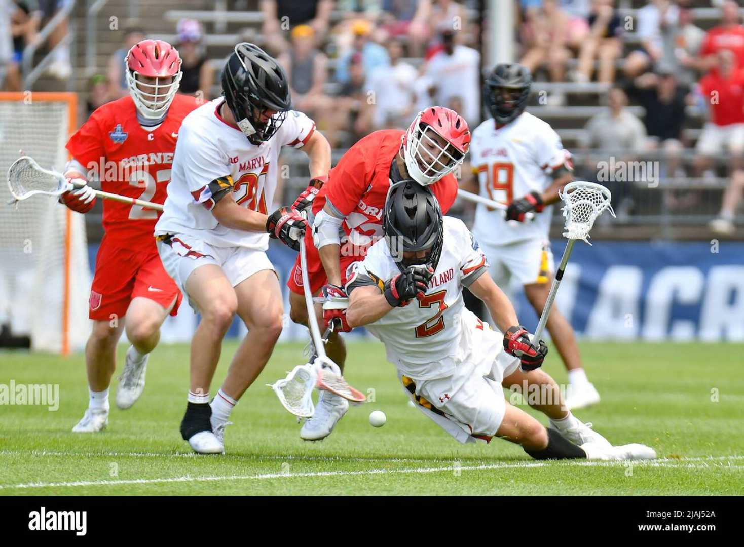 Maryland Lacrosse Game Image