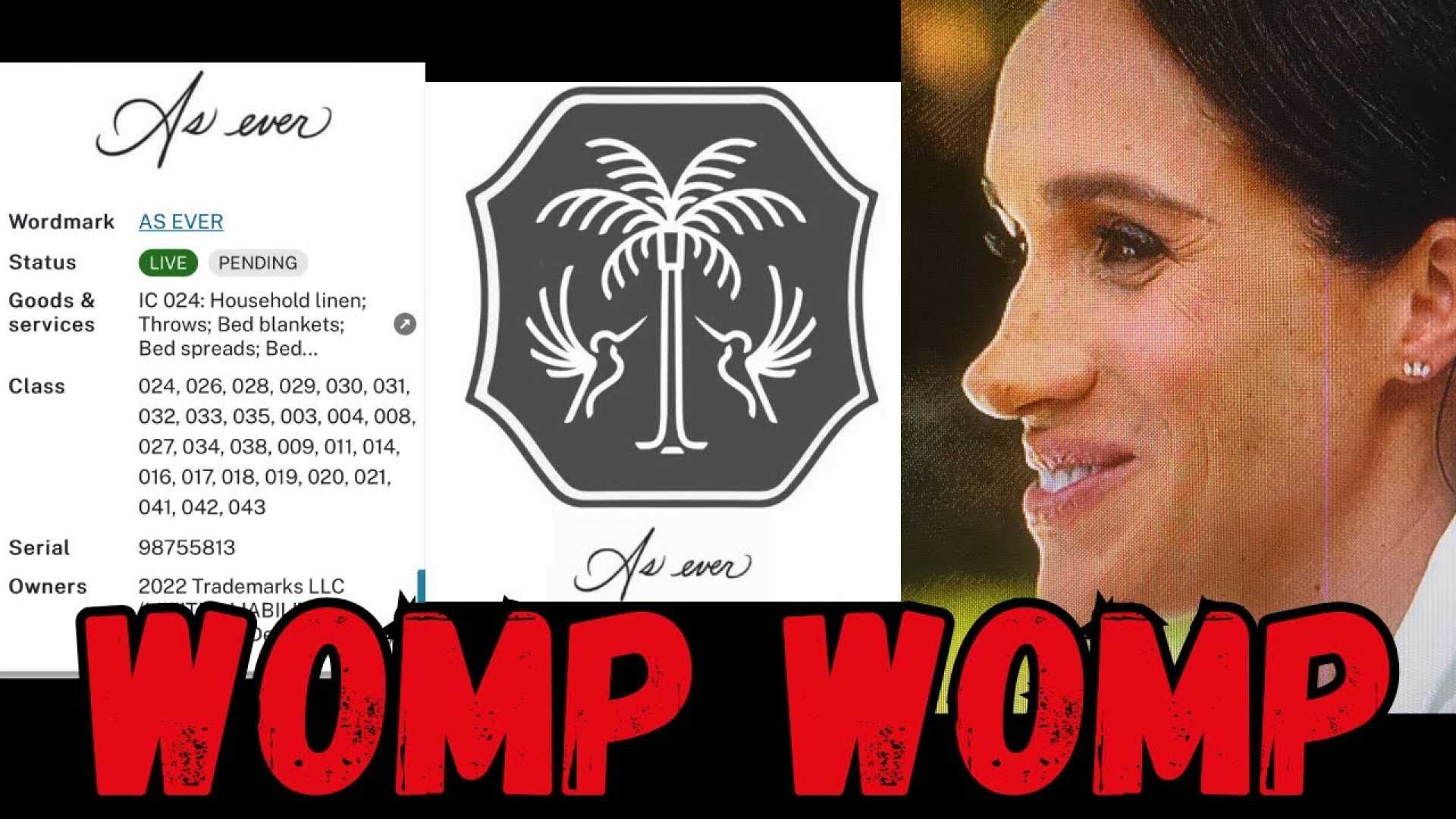 Meghan Markle As Ever Brand Trademark Application