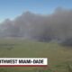 Miami Dade County Brush Fire Florida