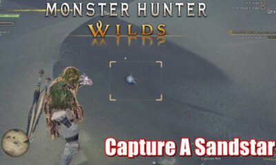 Monster Hunter Wilds Sandstar Capture