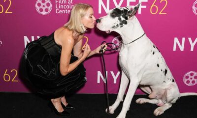 Naomi Watts Great Dane Movie Premiere Red Carpet