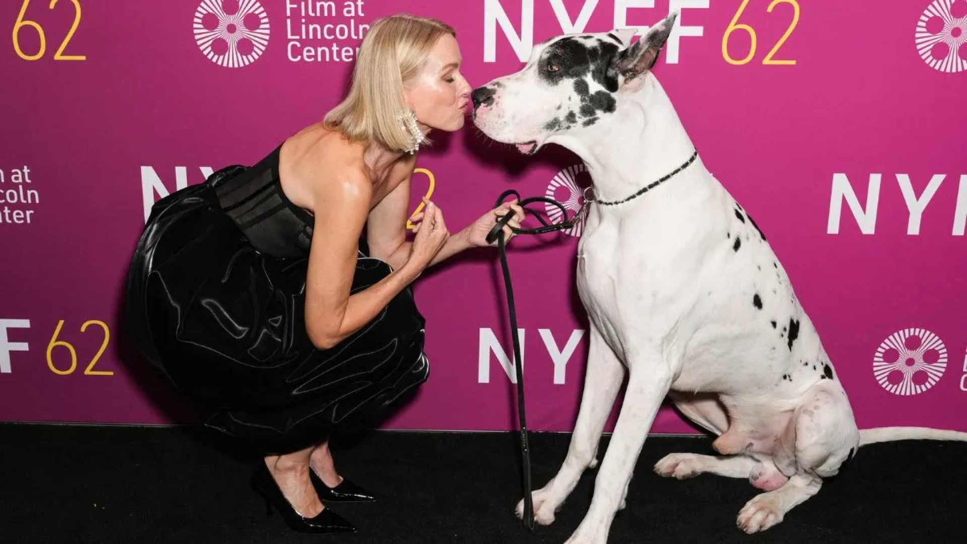 Naomi Watts Great Dane Movie Premiere Red Carpet