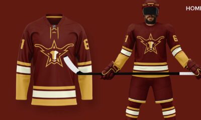 Nhl Houston Expansion Team