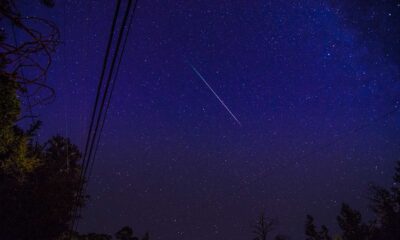 γ Normid Meteor Shower Southern Sky