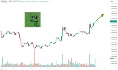 Pepe Memecoin Price Prediction Graph