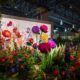 Philadelphia Flower Show 2023 Preview