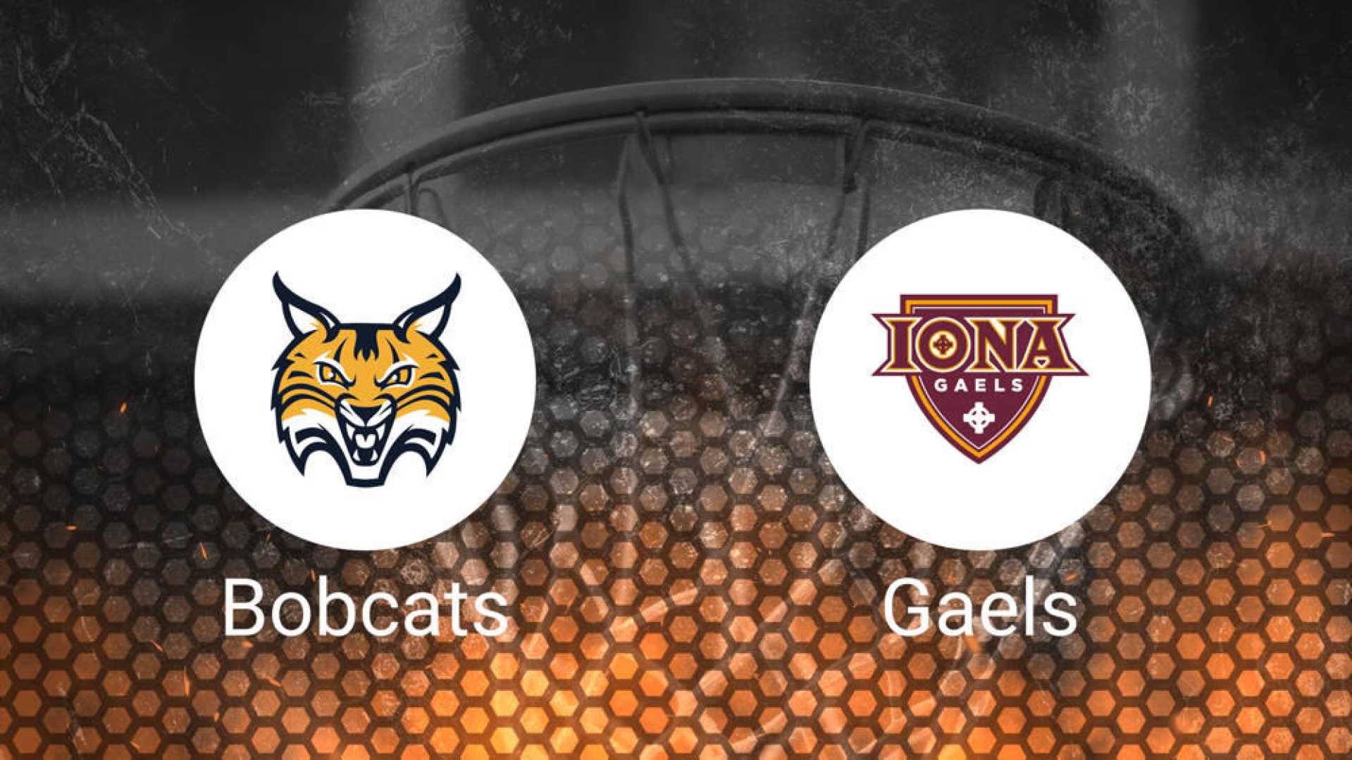 Quinnipiac Vs Iona Basketball Game Preview