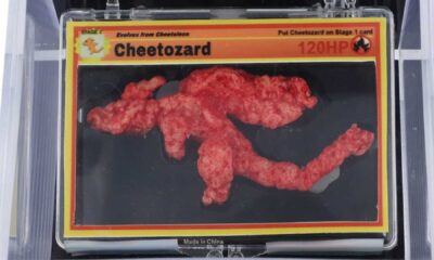 Rare Cheeto Shaped Like Charizard