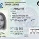 Real Id Drivers License Requirements Usa