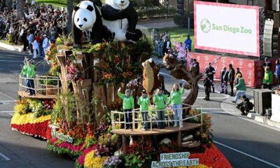 San Diego Zoo Panda Celebration Event