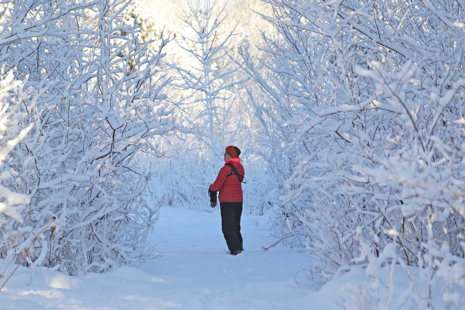 Southeastern Wisconsin Snow March 2025