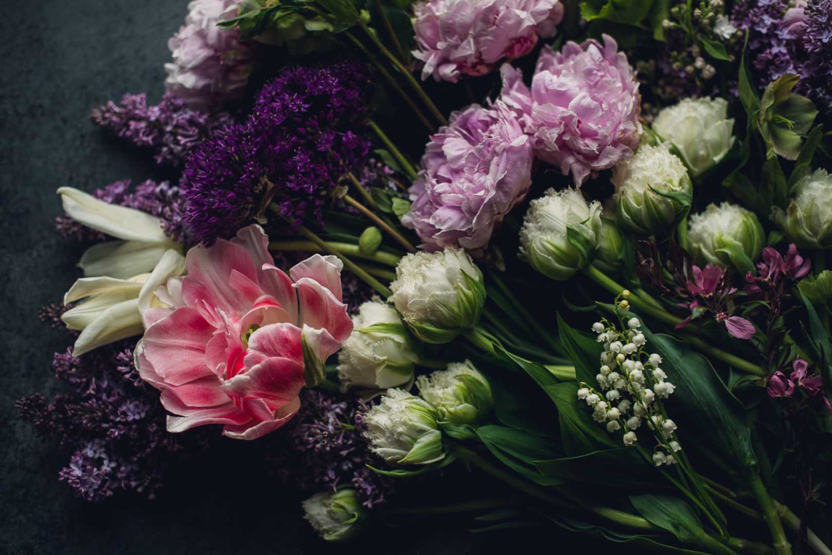 Spring Equinox Flowers Blooming