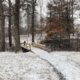 Spring Weather In The Carolinas With Snow And Winds