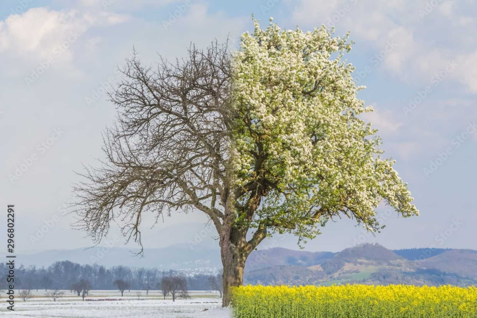 Spring Weather Transition