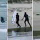 Surfer Being Chased By Sea Lion