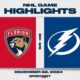 Tampa Bay Lightning Vs Florida Panthers Game Highlights