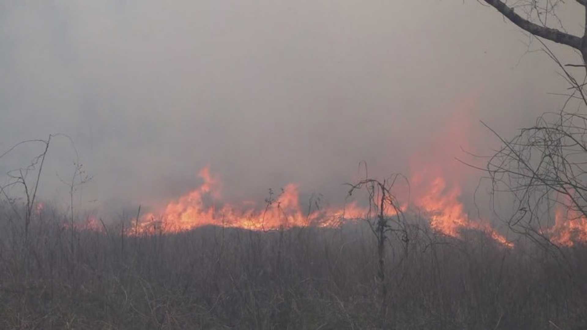 Tennessee Wildfires Evacuation Emergency Response