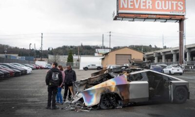 Tesla Electric Car Vandalism Protests