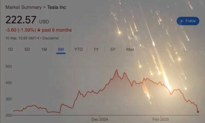 Tesla Stock Decline Chart March 2025