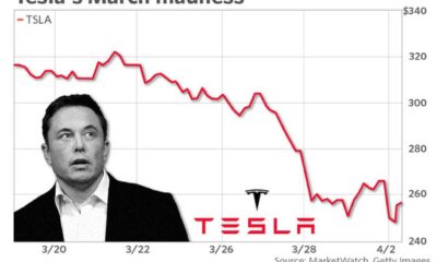 Tesla Stock Market Decline