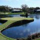 The Players Championship Tpc Sawgrass Golf