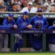 Toronto Blue Jays Baseball Game Dugout