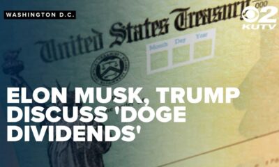 Trump Musk Doge Stimulus Check Discussion