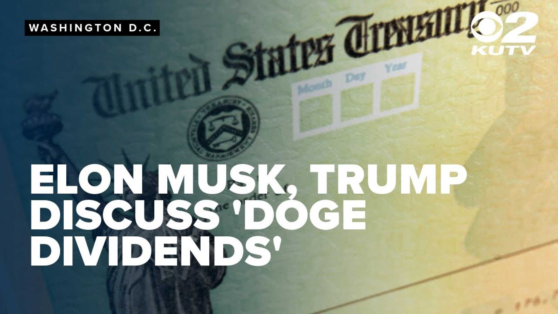 Trump Musk Doge Stimulus Check Discussion