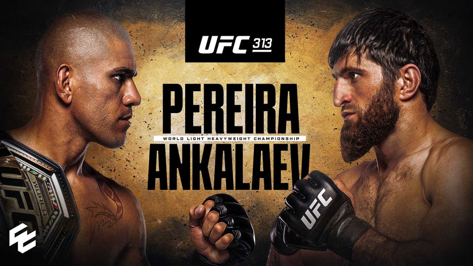 Ufc 313 Pereira Vs Ankalaev Fight Preview