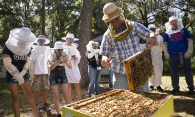 University Of Florida Bee College Event