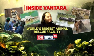 Vantara Animal Rescue Center Gujarat