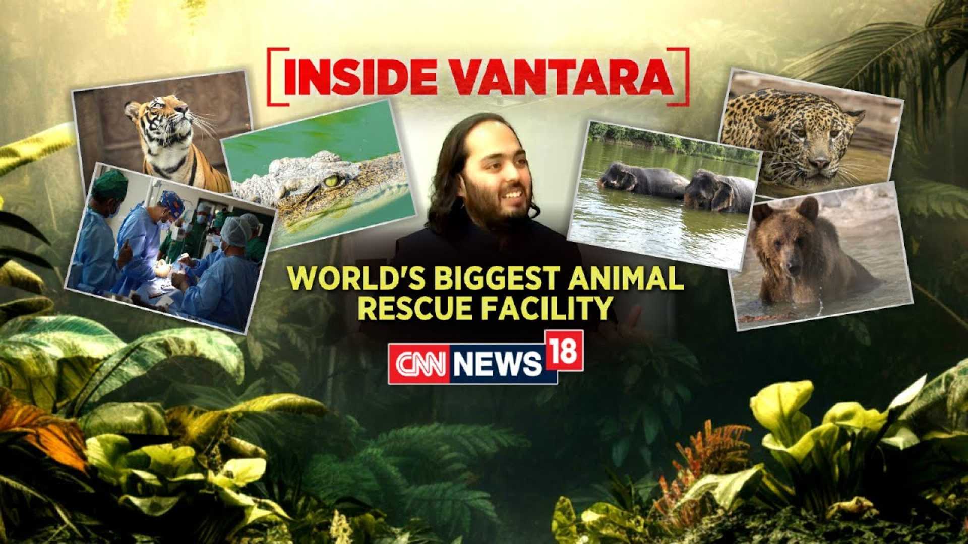 Vantara Animal Rescue Center Gujarat