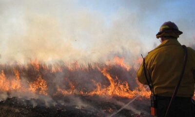 West Virginia Wildfire Safety Alert