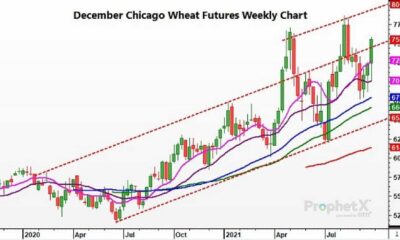 Wheat Futures Trading Chart