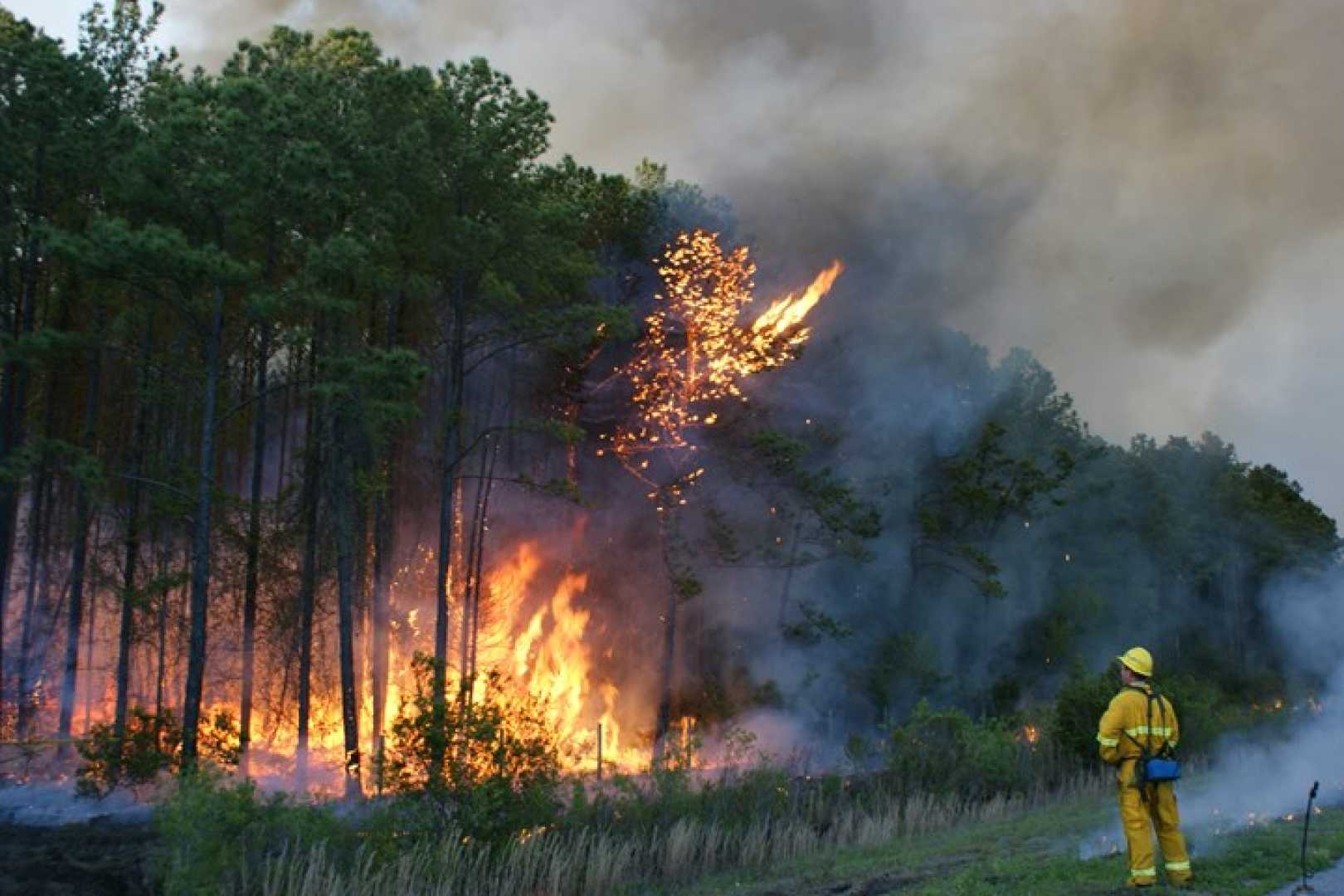 Wildfire Smoke South Carolina Emergency Response