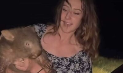 Woman Holding Baby Wombat Australia