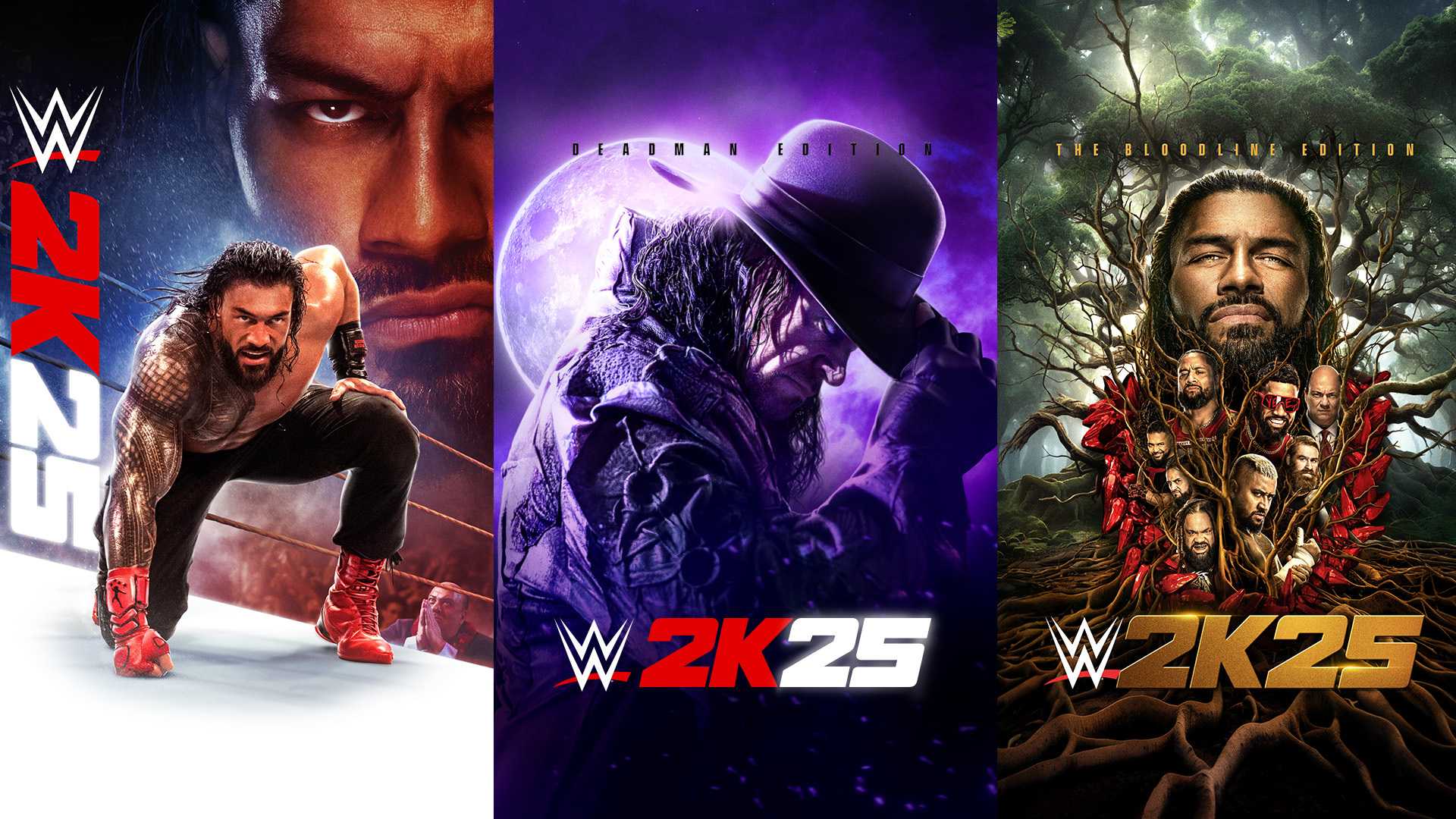 Wwe 2k25 Game Cover Art And Special Editions