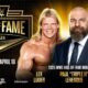 Wwe Hall Of Fame Ceremony Las Vegas 2025