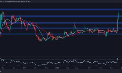 Xrp Cryptocurrency Trading Chart