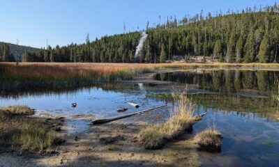 Yellowstone National Park Thermal Vent Steam