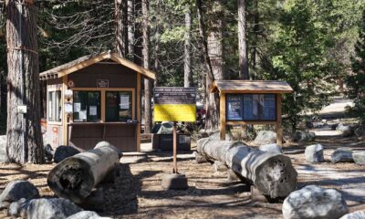 Yosemite National Park Campground Reservations Summer