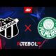Ceará Vs Palmeiras Soccer Match