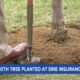 Erie Insurance 100th Tree Planting Event